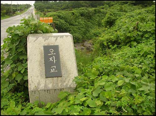 오자교. 5.10 단선 거부 이후 경찰의 탄압이 극심하던 48년 6월에, 마을 주민 7명이 이곳에서 경찰에 의해 사살되었다. 